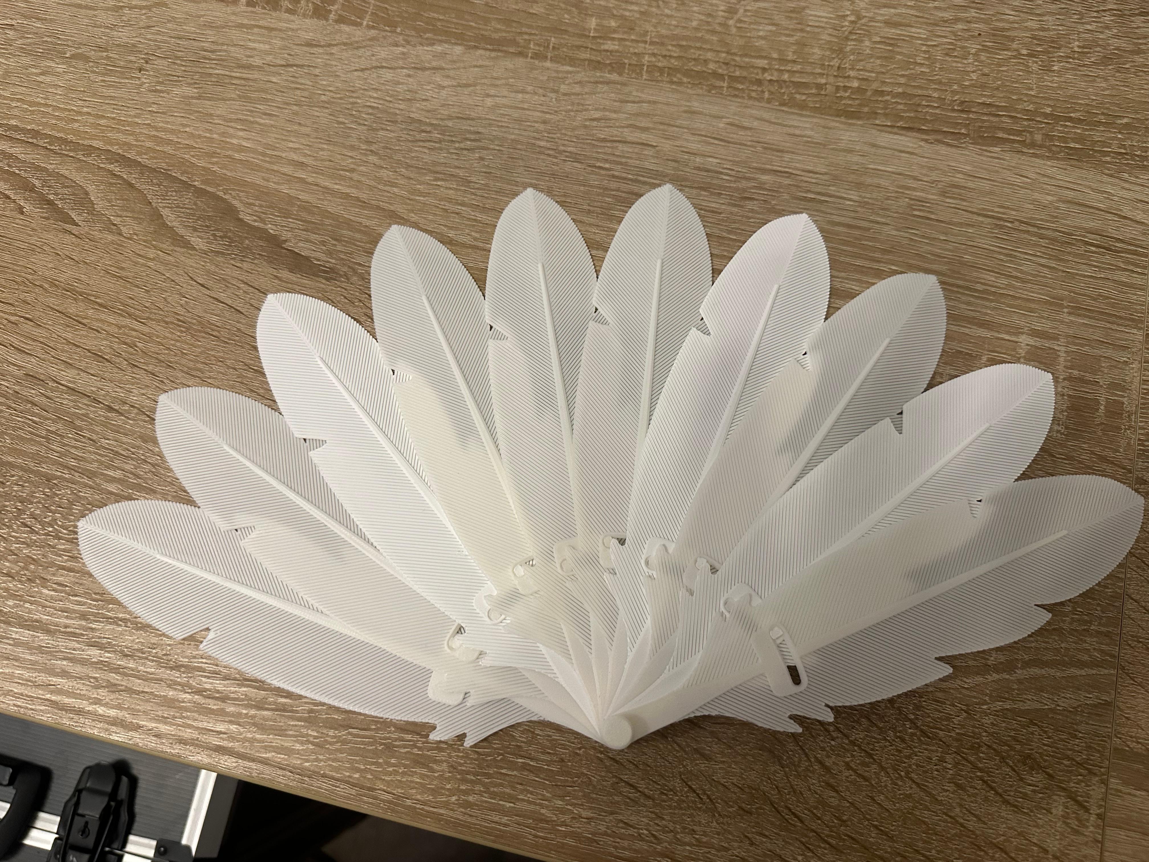 3D-gedruckter Fächer aus einzelnen weißen Federn – 3D-Druck von 3D Druck Drong aus Espelkamp